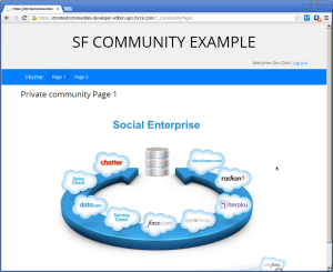 salesforce-community-4